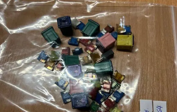 Mazda 6 Fuse C24467S99 C24567S99 L20667S99