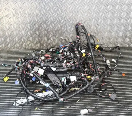 Tesla Model S Other wiring loom 200442300A