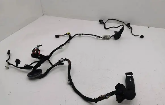 Audi A7 S7 4G Front door wiring loom 4G8971029