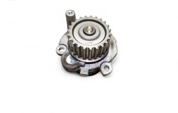 Volkswagen Golf V Water pump 038121019E