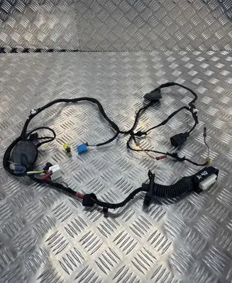 Audi Q5 SQ5 Front door wiring loom 80A971029E
