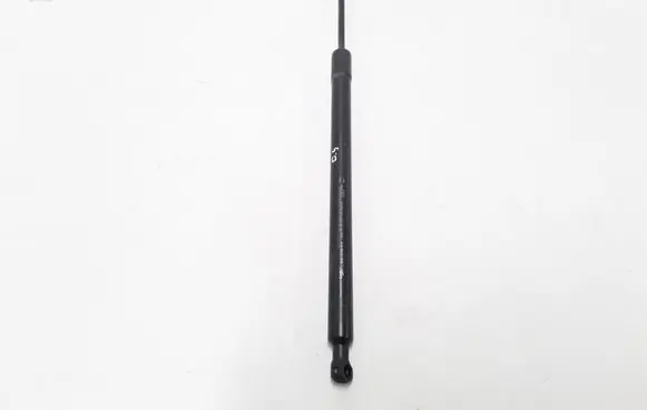 Renault Modus Tailgate strut 8200665709
