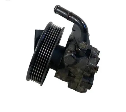 Hyundai Santa Fe Power steering pump
