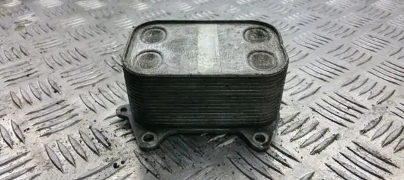 Oil filter mounting bracket