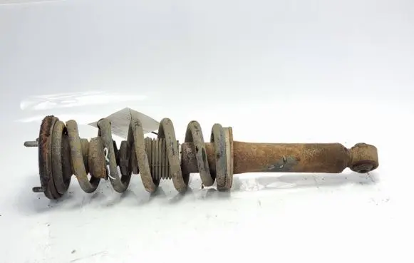 Mitsubishi Pajero Front shock absorber/damper