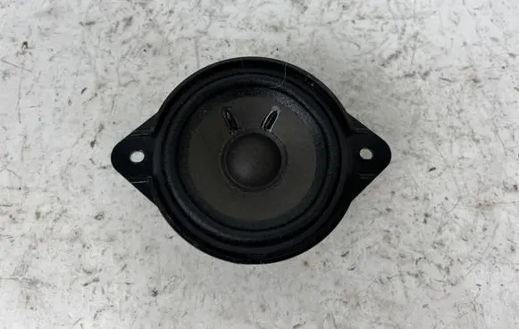 Panel speaker