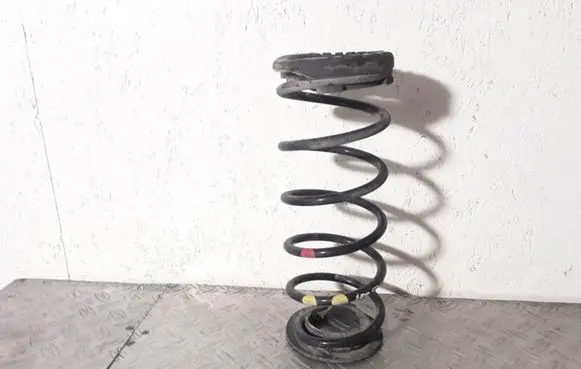 Hyundai i20 (PB PBT) Rear coil spring