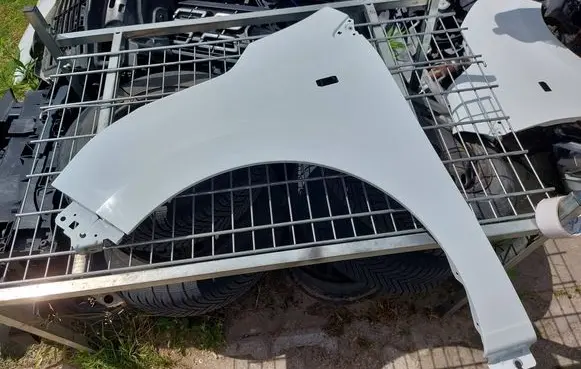 Renault Express Fender