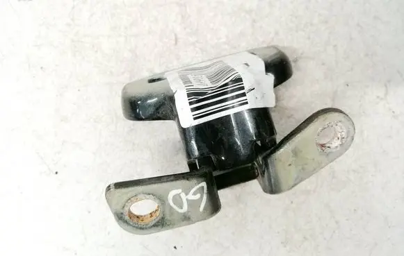Rear door lower hinge