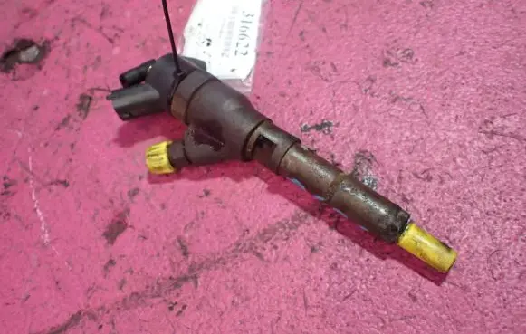 Fiat Scudo Fuel injector 0445110076