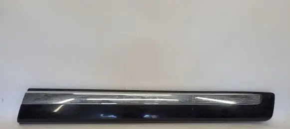 Toyota Land Cruiser (J150) Front door trim (molding)