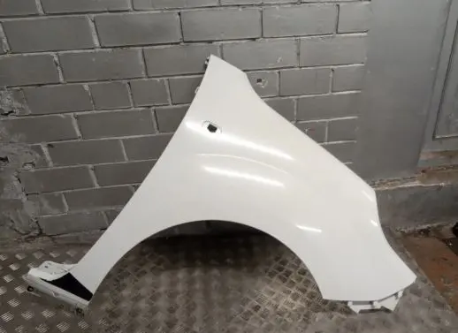 Renault Kangoo II Fender 631003601R