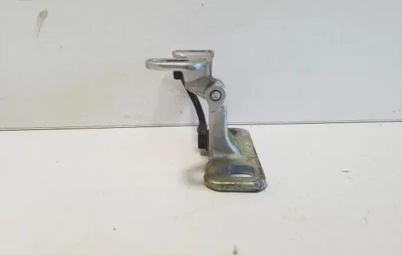 Tailgate/trunk/boot hinge