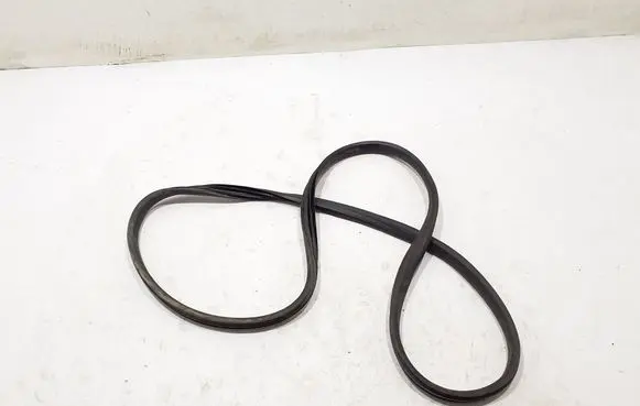 Dacia Jogger Front door rubber seal 808326516R