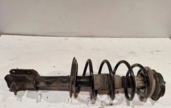 Fiat Punto (188) Front shock absorber/damper