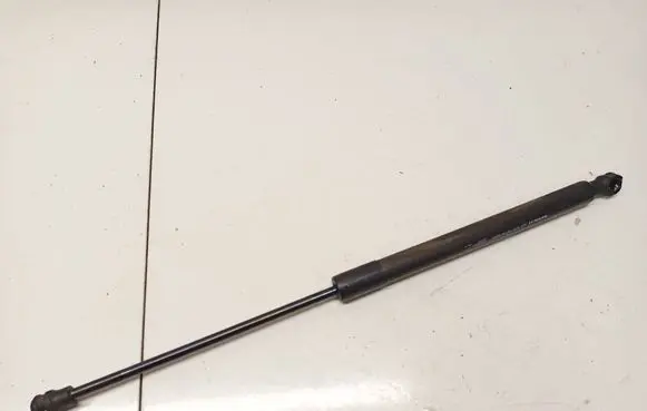 Dacia Sandero Tailgate/trunk strut/damper 904529943R