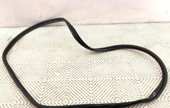 KIA Niro Rubber seal front door (on door)