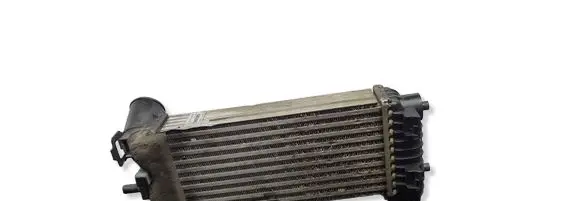 Ford Transit - Tourneo Connect Intercooler radiator BV619L440CK