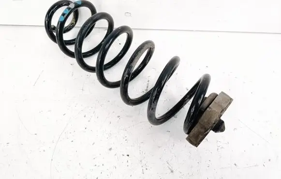 Rear coil spring