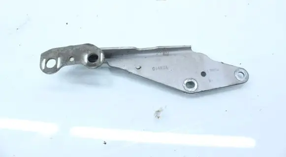 Ford Edge I Engine bonnet/hood hinges 014N3A