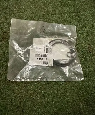 Citroen C3 Picasso Oil filter mounting bracket 1103L8