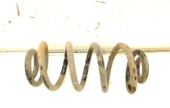 Rear coil spring
