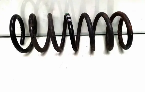Rear coil spring