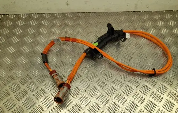 BMW iX1 Other wiring loom 5A0C137