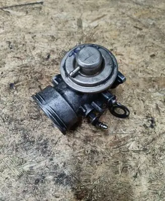 EGR valve