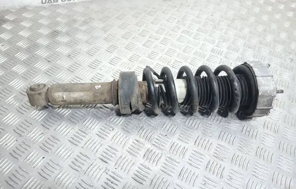 Porsche Cayenne (9PA) Rear shock absorber/damper 7L5513029G