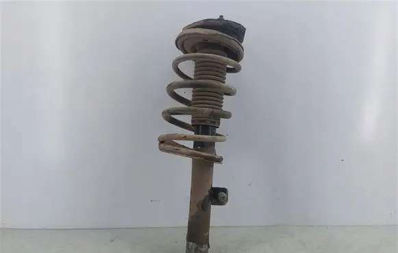 Citroen Xsara Front shock absorber with coil spring
