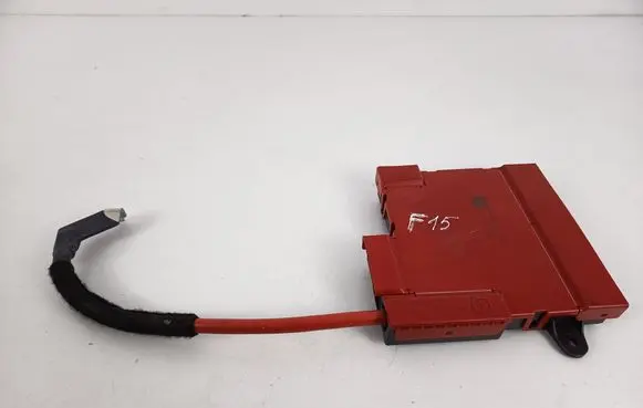 BMW X5 F15 Positive wiring loom 928550803