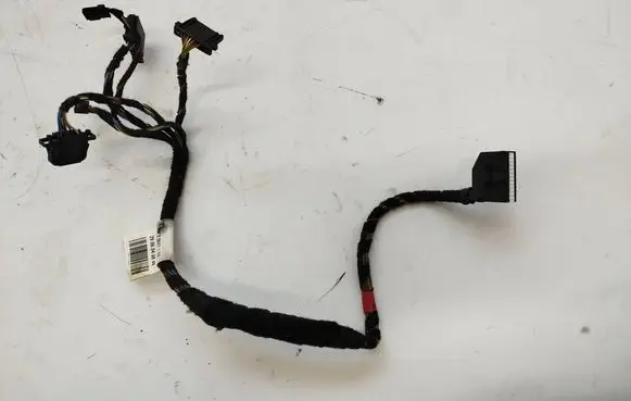 Volkswagen Phaeton Wiring harness 3D0971100BH