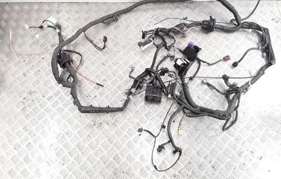 Toyota RAV 4 (XA20) Panel wiring 8211142A90G