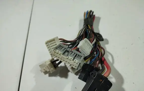Other wiring loom