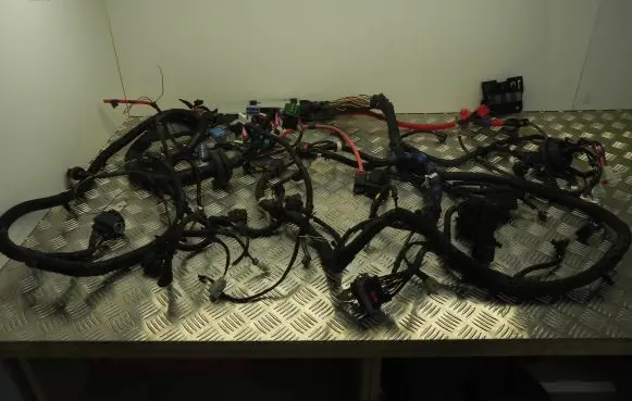 Tesla Model Y Other wiring loom 248905801B