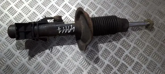 Peugeot 206 Front shock absorber/damper