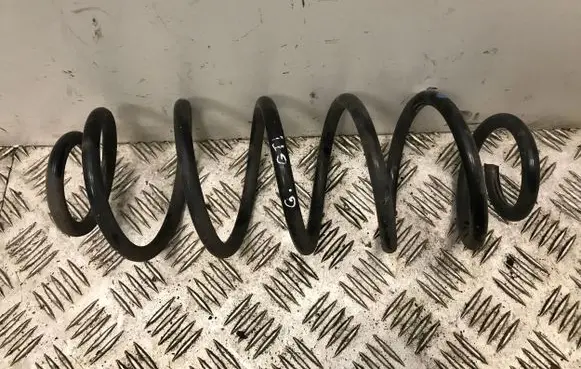 Rear coil spring