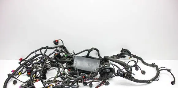 Other wiring loom