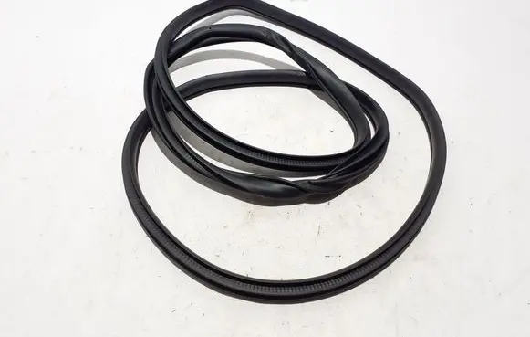 Renault Koleos II Rear door rubber seal (on body) 769233802R