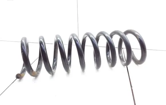 Front coil spring