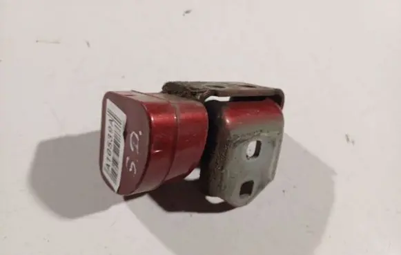 Renault Scenic II - Grand scenic II Rear door lower hinge