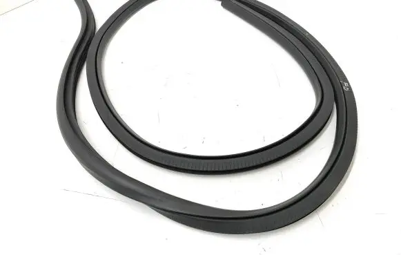Ford Focus Front door rubber seal