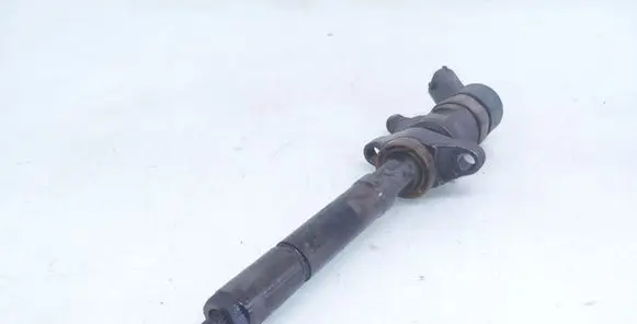 Volvo V50 Fuel injector 0445110259 328480
