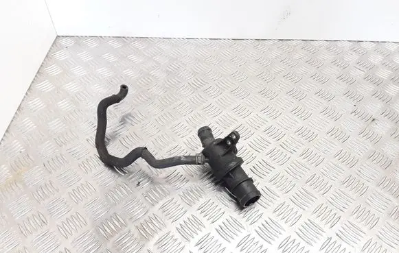 Thermostat/thermostat housing
