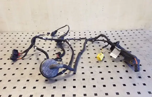 Front door wiring loom