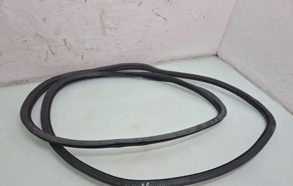 Volkswagen Touareg I Front door rubber seal 