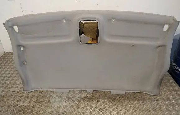Opel Vivaro Headlining 