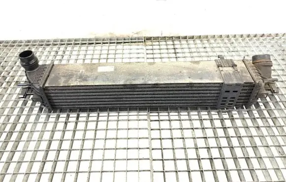 Renault Laguna III Intercooler radiator 144960001R