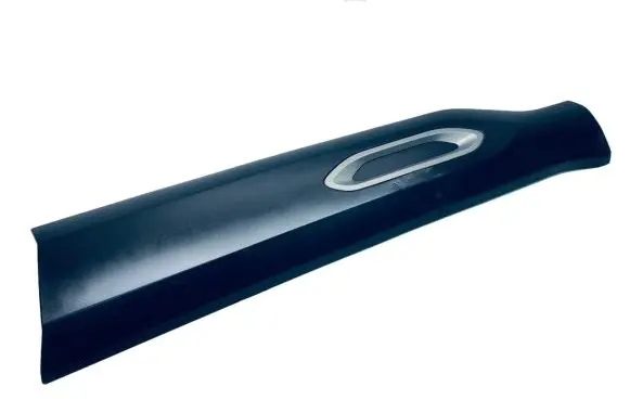 Citroen C4 III e-C4 Front door trim (molding) 98306608XT 98353800VA